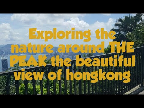 Exploring the nature with my simple hugot - YouTube