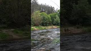 Mira que Reo # Flypesca #flyfishing