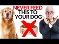 What Vets DON'T Tell You! Secrets to Extending Your Dog's Lifespan! | Dr. Steven Gundry