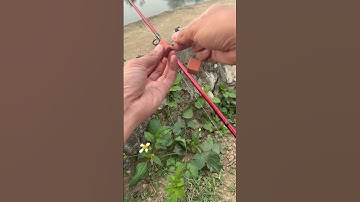 Hồ dịch vụ 50k | Rô to như dịch vụ #moicaume #caudaihotunhien