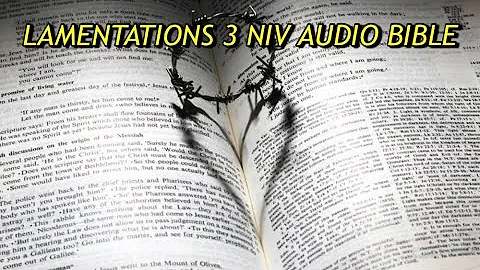 LAMENTATIONS 3 NIV AUDIO BIBLE(with text)