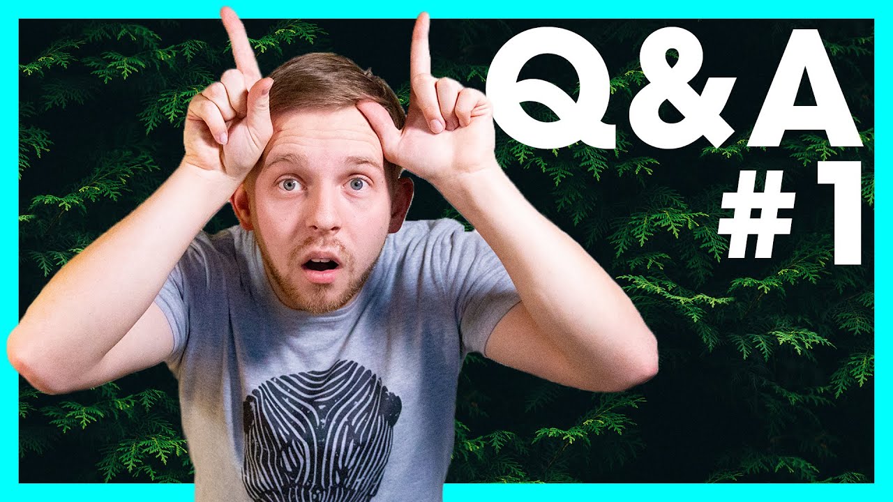 Ant Antennae, Brood Boosting, & More! | Questions & Antswers #1