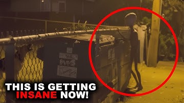 CCTV Camera Captured the Clearest Image of a Strange Creature — Could This Be the Grey Alien?