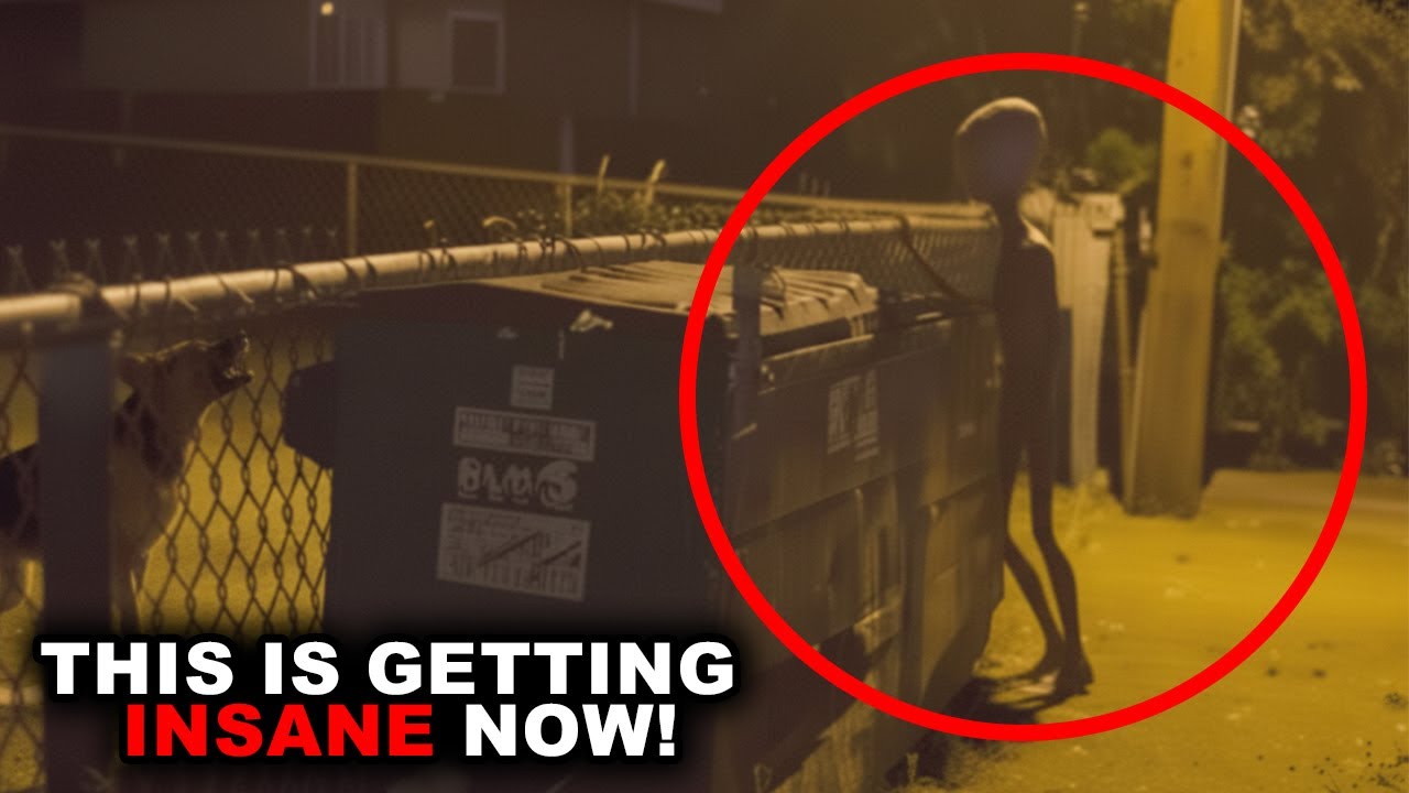 Камера видеонаблюдения запечатлела самое четкое изображение странного существа — может ли это быт...