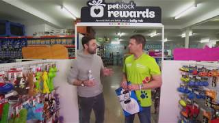 Petstock Assist - Support for Animal Rescue and Rehabilitation | S3 Ep 6 | Pooches at Play