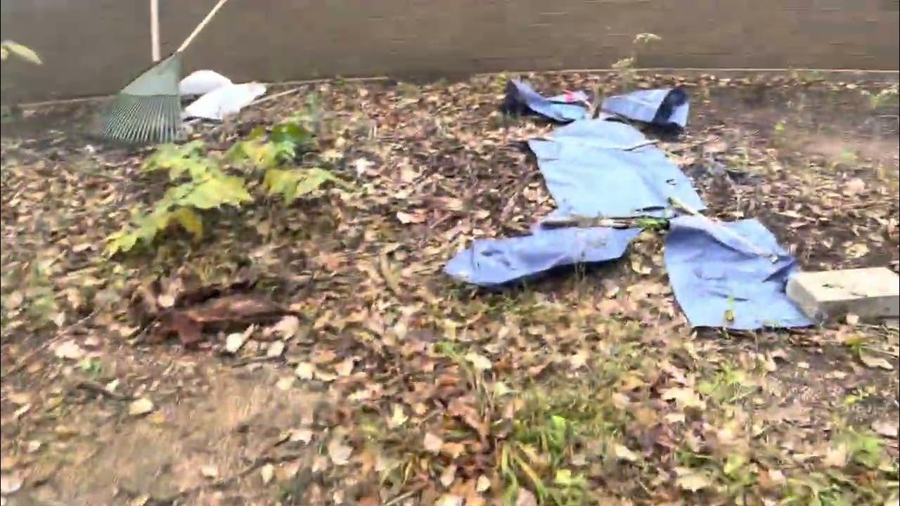 Continental Drift Evidence Coal Deposits YouTube