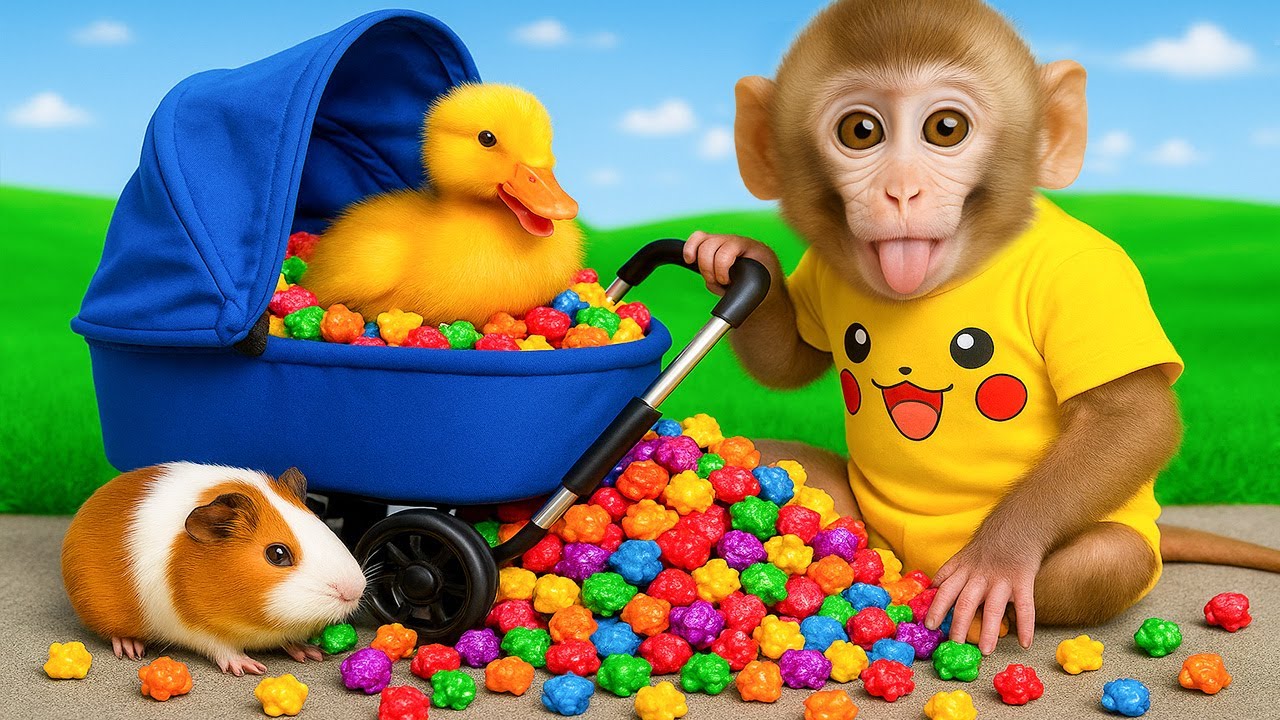 Macaco BIBI sorri ao descobrir carrinho de bebê cheio de doces