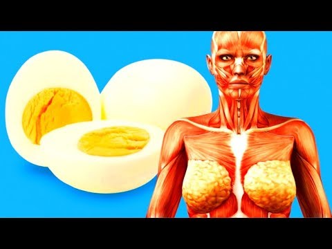 Vidéo: Avec Quoi Manger Des œufs Durs