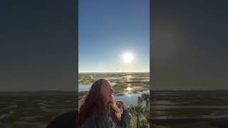 Sea Island Weather Report November 4 2025