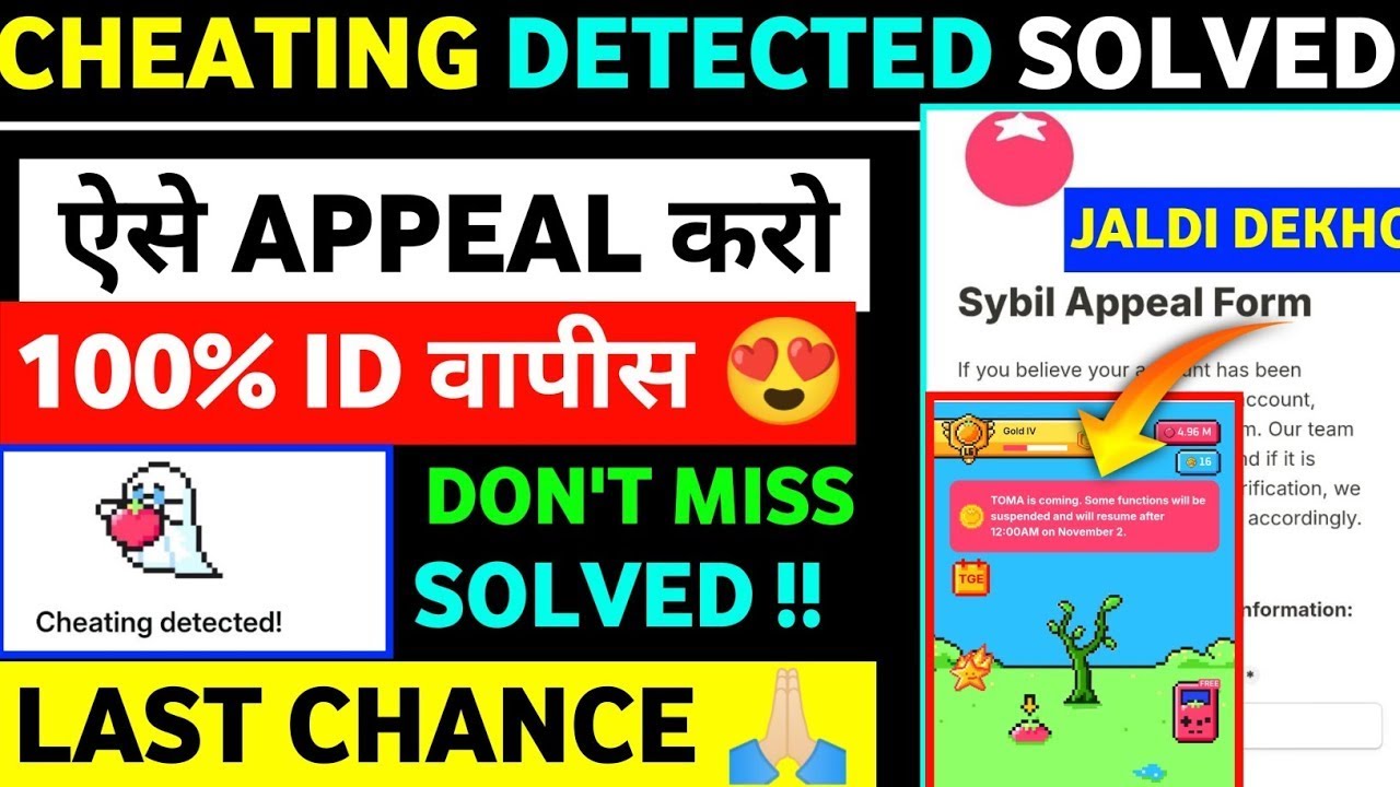 Cheating Detected! How To Solve Cheating Detected Problem Tomarket Cheating Detected Appeal