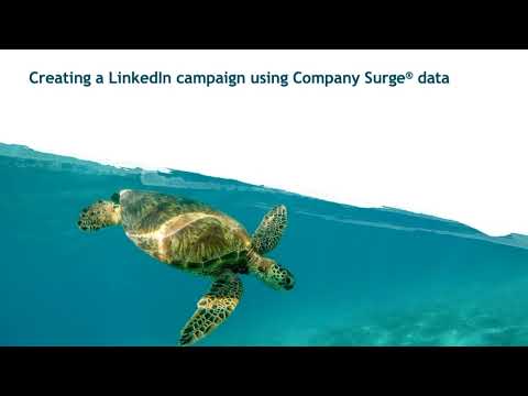 Using Company Surge® in LinkedIn