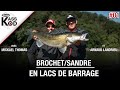 La pche du brochet et du sandre au leurre en lac de barrage