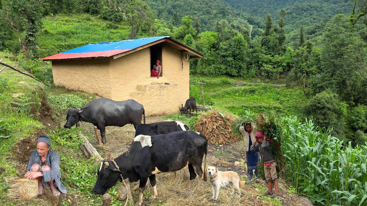  The organic lifestyle and beautiful nature of the remote village.