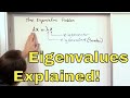 15 - What are Eigenvalues and Eigenvectors? Learn how to find Eigenvalues.