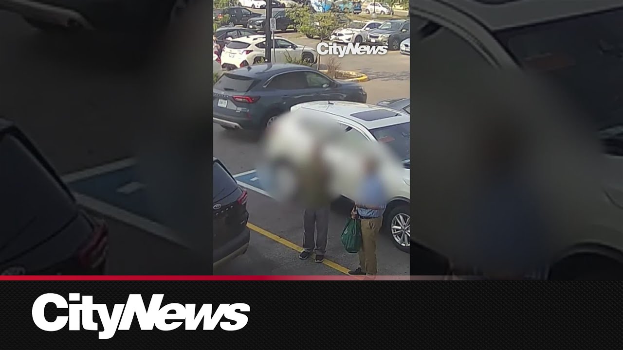 Toronto police release footage of distraction thefts targeting seniors