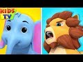 Going To The Zoo Animal Song | Nursery Rhymes + More Kids Songs