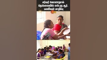 Server Issues Slow Down BLO App | SIR Data Upload | Tirunelveli | Sun News