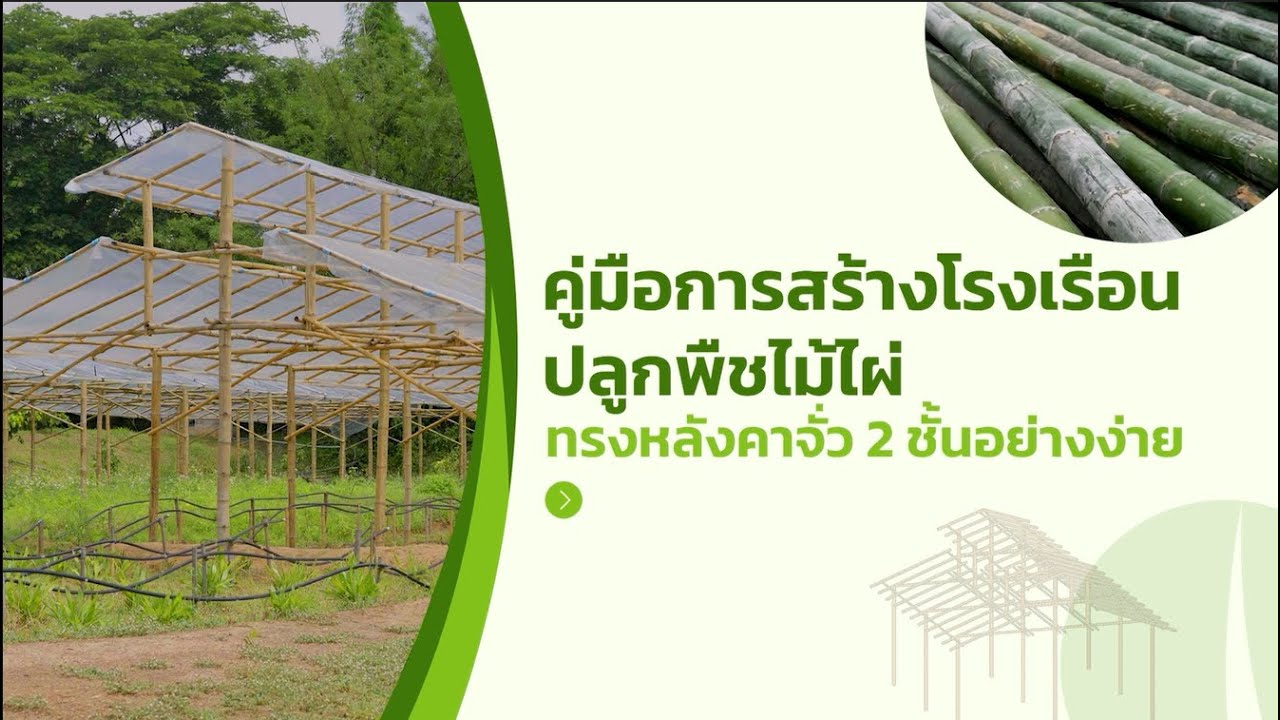 คู่มือการสร้างโรงเรือนปลูกพืชไม้ไผ่ทรงหลังคาจั่ว 2 ชั้นอย่างง่าย