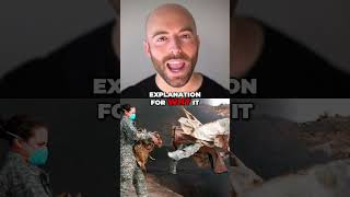 Gulf War Syndrome and Schizophrenia: Unseen Wounds