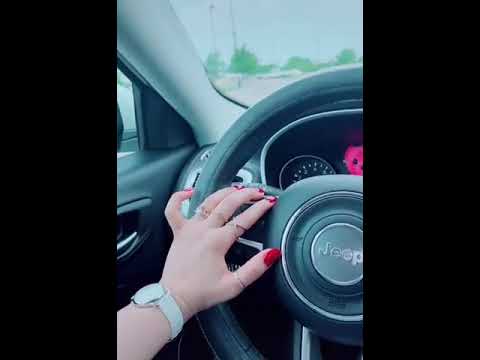 يا اميره كل النجمات اغنيه وائل كفوري