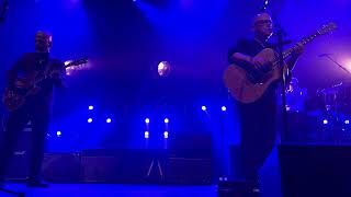Pixies - Ana (Live) 4K Resimi