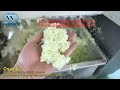 Soft Nylon PVC Fiber Strips Shredding Machine丨Waste Textile Recycling Crushing Equipment