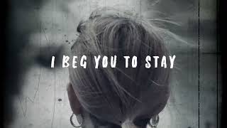 LEVI LEE - I BEG YOU TO STAY ( LYRIC VIDEO)