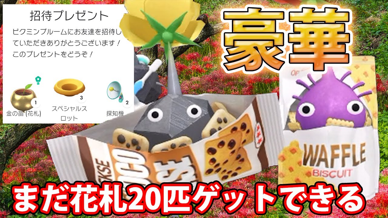 わたしの秘密おしえてあげるジュディ・ブルーム入手困難品格安クーポン限定ポイント Pikmin Bloom探知機が無料で2こもらえるなんて♪ステキな招待