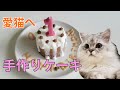【レシピ付き】お誕生日の愛猫に手作り猫用ケーキをつくってみた【猫動画】