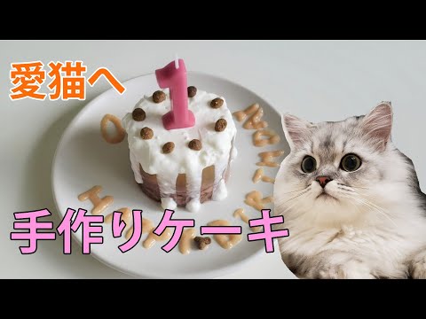じゅんじゅん様❤️オーダーページケーキ猫❤️女の子❤️持ち