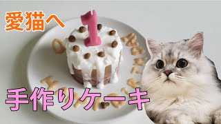 【レシピ付き】お誕生日の愛猫に手作り猫用ケーキをつくってみた【猫動画】