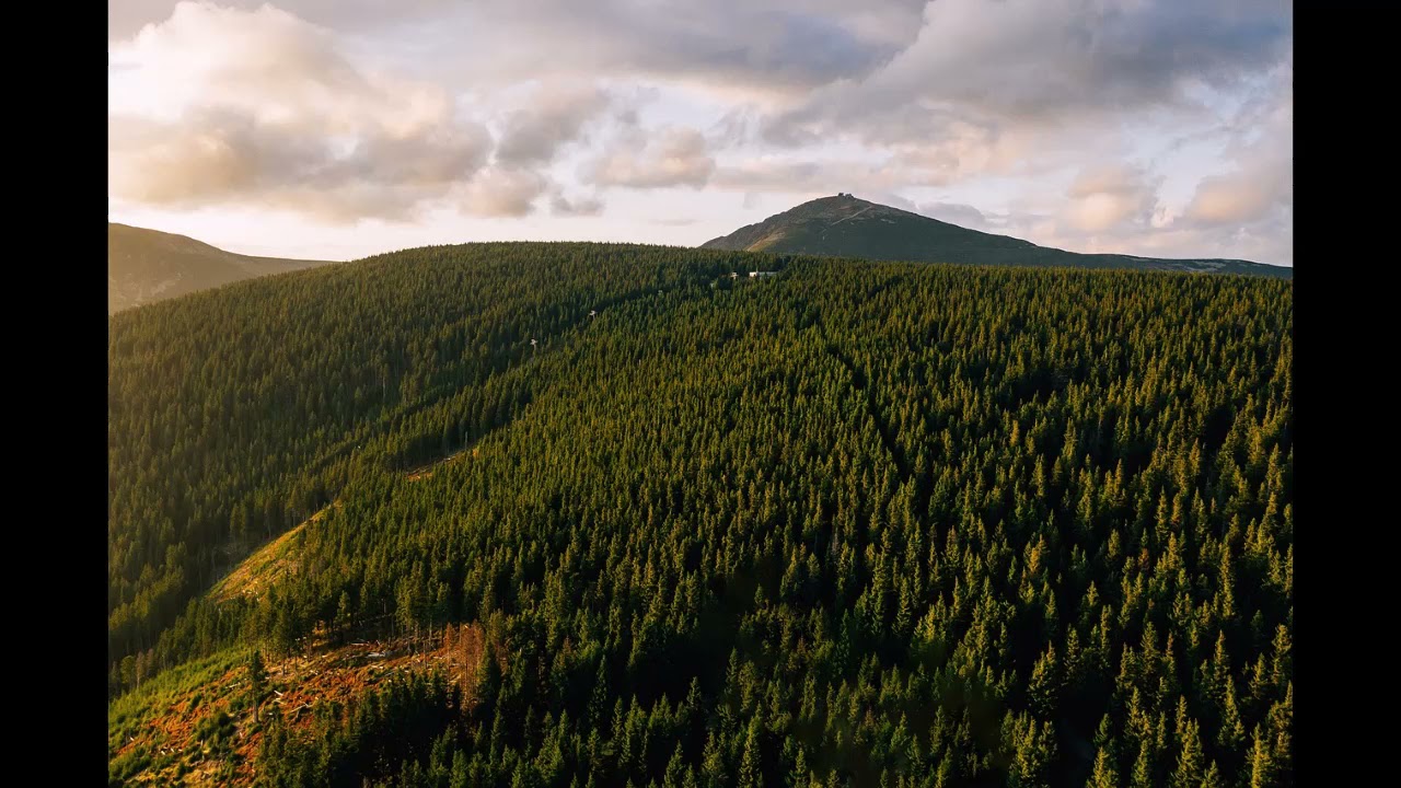 flute piccolo JAN NOVAK, Marsyas : "Allegro moderato"