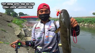 Ngeri..! Umpan Geol Mini MRA Riau | Mancing Ikan Gabus Sekali Lempar Di Sambar