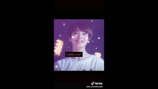 Armylerin Yaptığı Tik Tok Videoları Part 1