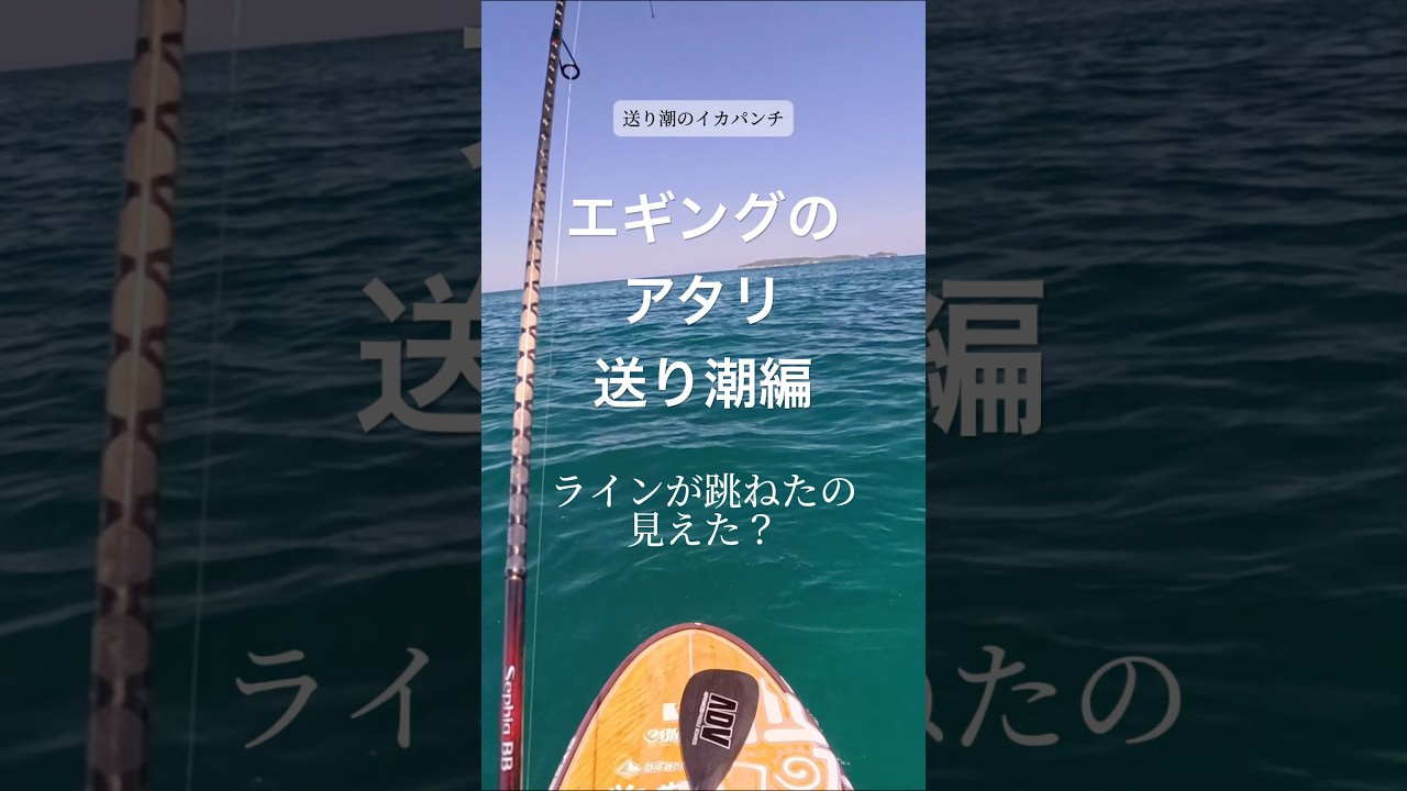 エギングのアタリと取り込みのテクニック #エギング #アオリイカ #釣り #fishing #釣り好きな人と繋がりたい
