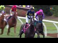 2024 FanDuel Breeders' Cup Mile presented by PDJF - More Than Looks