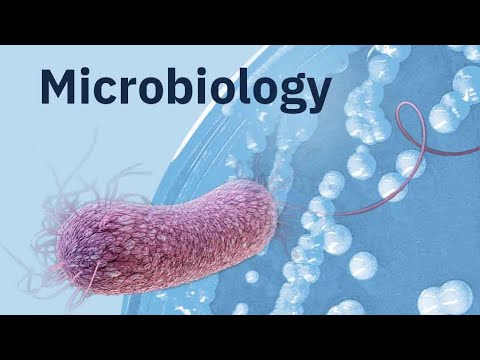 Microbiology (1).Bacteria ,virus,fungi .parasite &infection control