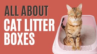 The Complete Guide to Cat Litter Boxes - The Comforted Kitty