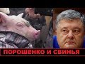 Скандал! Порошенко на Волыни подарили СВИНЬЮ.