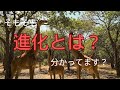 【第１回　進化とは】ピカイア先生の科学授業