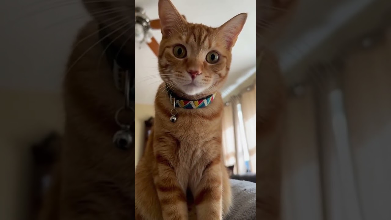 @katlinalysse: Should I pack my bags Ready for a new adventure 