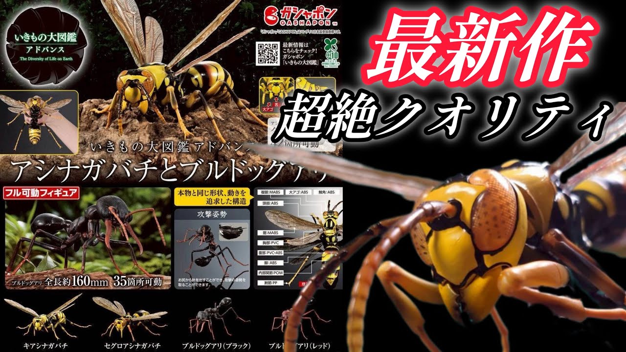 Gachapon] Advanced Encyclopedia of Living Creatures 