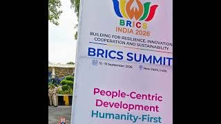 Panel: How can better China-India ties empower BRICS