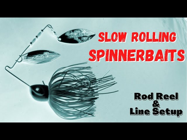 How and Why to Fish a Heavy Spinnerbait Shallow - Wired2Fish