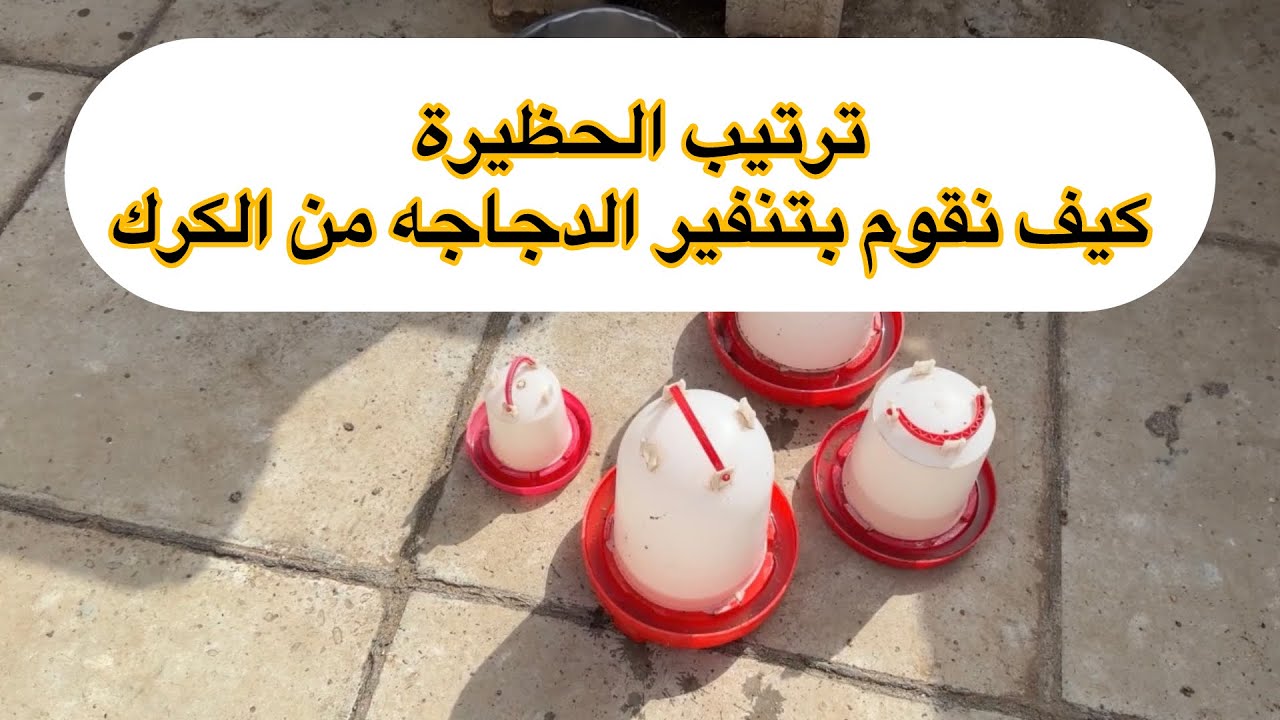 ترتيب الحظيرة #المربي_ابو_ضحى🐔🐣