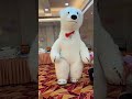 Bhalu Nacha рџђј Shorts Bhalu Nacha рџђј Shorts