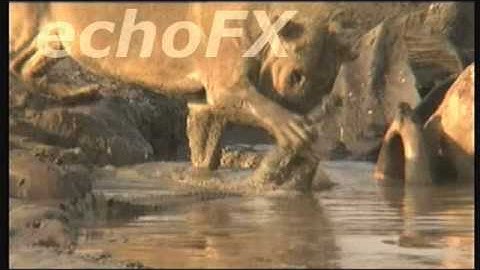 EasyCap DC60+ v3.1B with Mac & VideoGlide