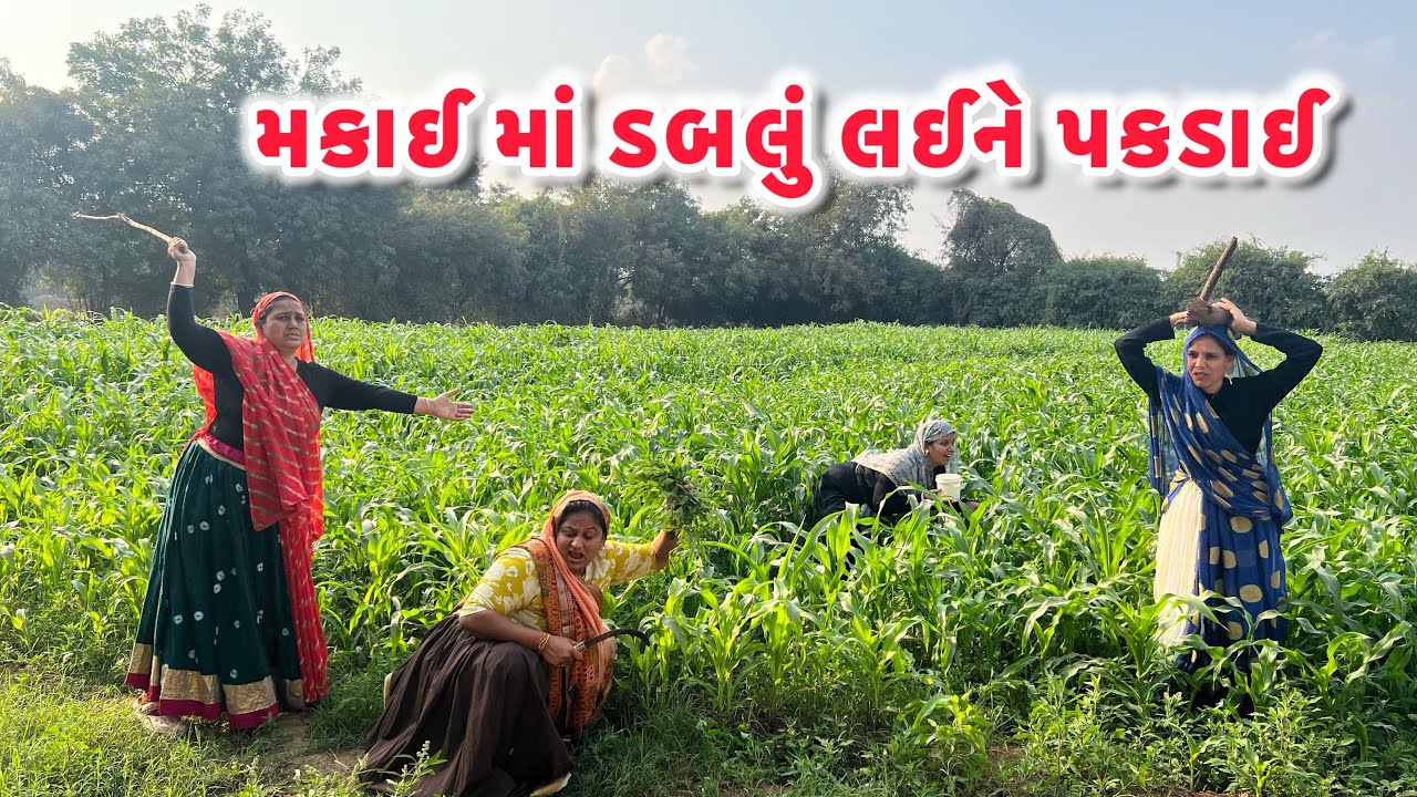 મકાઇ માં ડબલુ લઇને પકડાઇ /Gujarati comedy video/ગુજરાતી કોમેડી વિડિયો famaly video #gujaraticomedy 