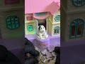 🏠🐶ASMR #live #shorts #asmris live! #shorts live ASMR Live🏠💰