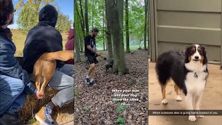 What people think it's like to get the $1000 dog by Dog Things 51,896 views 6 months ago 5 minutes, 44 seconds